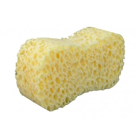 Sponge Jumbo